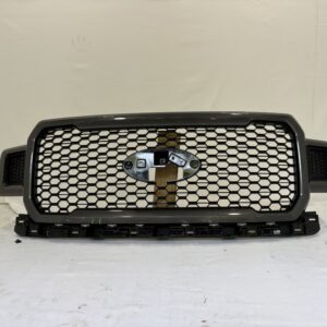 2018-2020 Ford F-150 Grille - Image 1