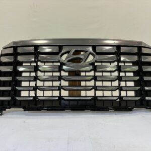 2023-2025 Hyundai Palisade Calligraphy Grille - Image 1