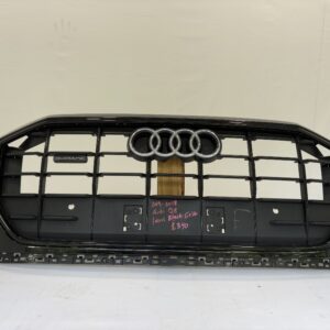 2019-2023 Audi Q8 Grille - Image 1