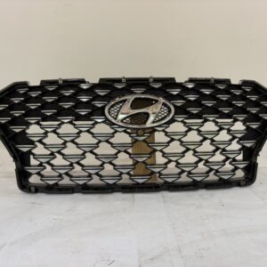 2020-2022 Hyundai Palisade Calligraphy Grille - Image 1