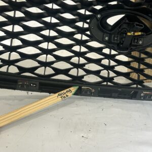 2018-2023 Infiniti QX80 Grille w/ camera - Image 7