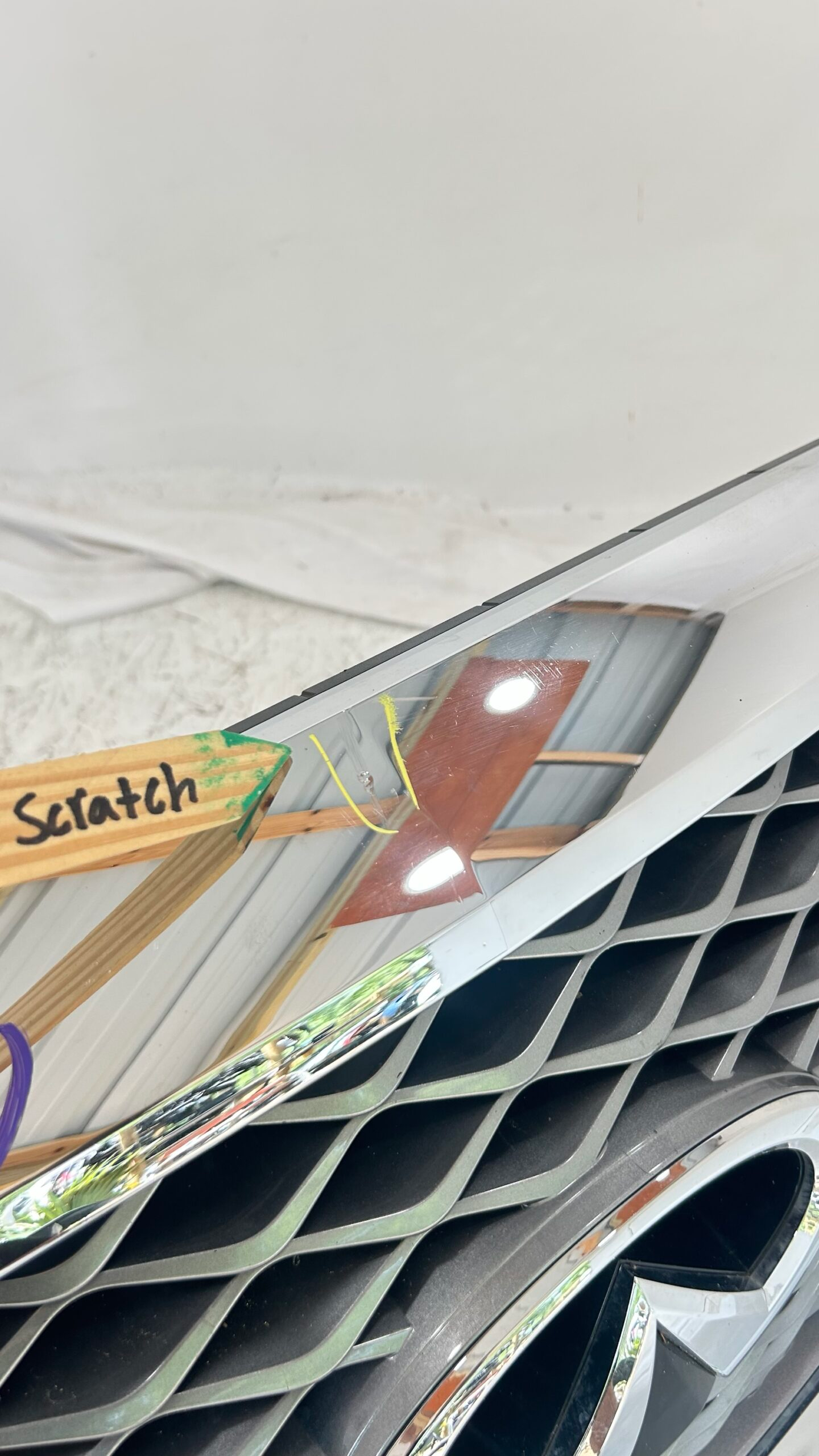 2018-2023 Infiniti QX80 Grille W/ camera
